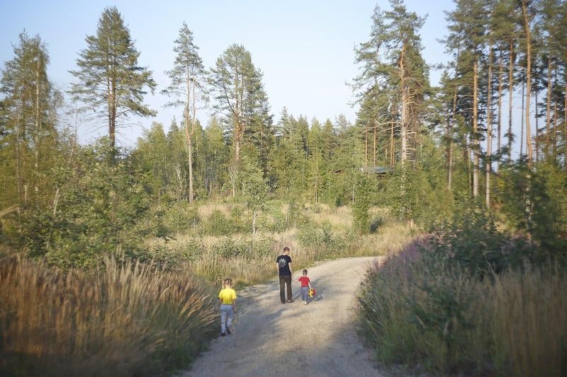 Les erreurs à éviter quand on prépare un road trip en famille en 2026