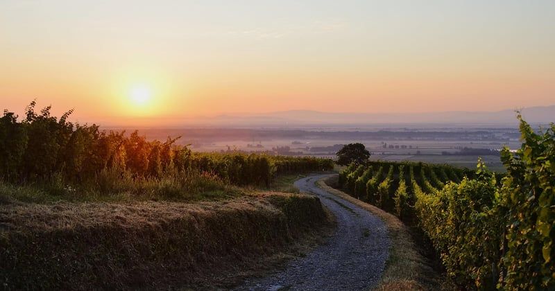 Où dormir à Eguisheim pour un week-end insolite : nos 7 adresses